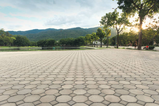 Best Local Driveway Pavers  in Oak Park, MI